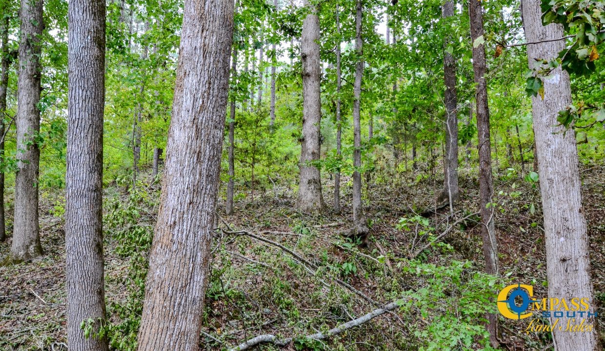 Sedalia HIll Land for Sale in South Carolina-30