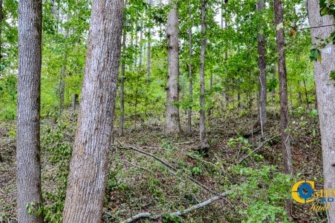 Sedalia HIll Land for Sale in South Carolina-30