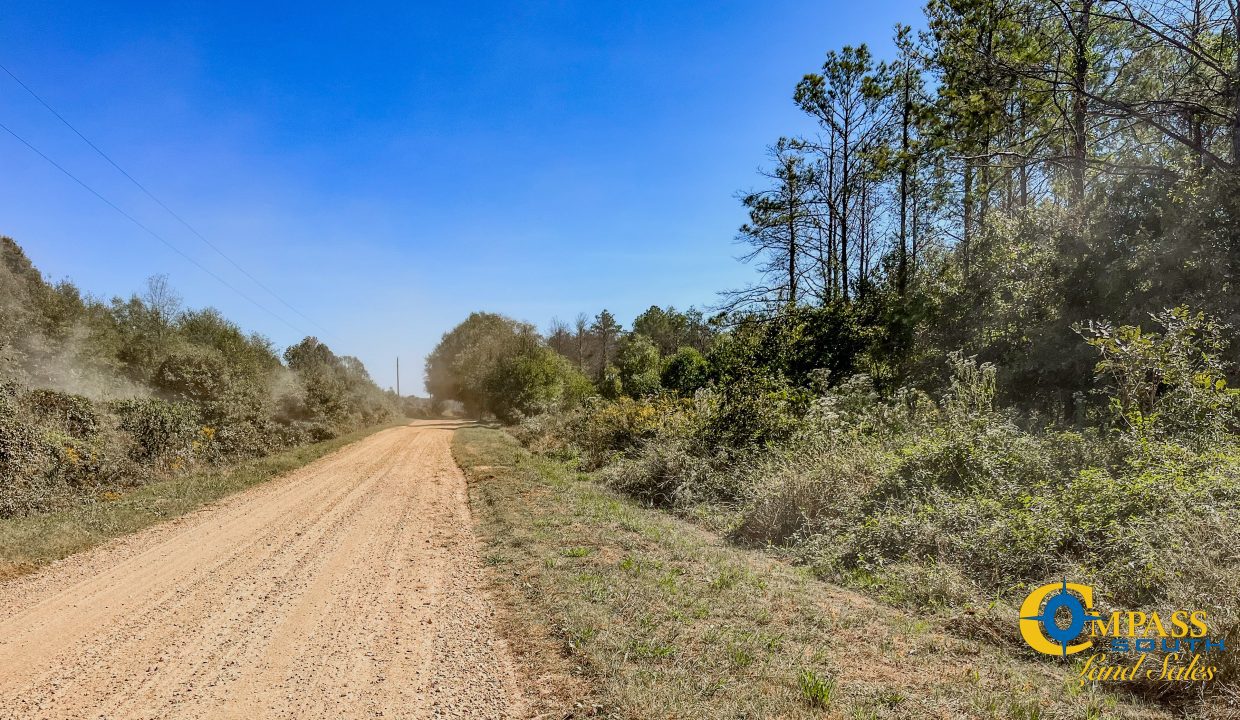 Toney 1 Arkansas Land for Sale-16