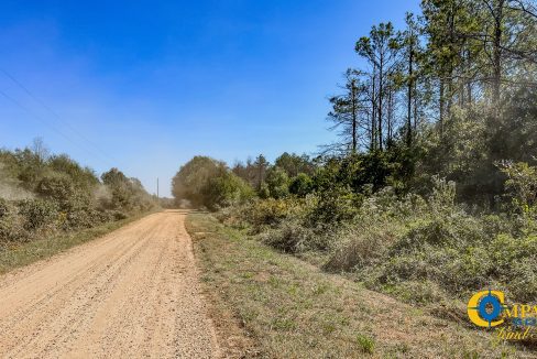 Toney 1 Arkansas Land for Sale-16