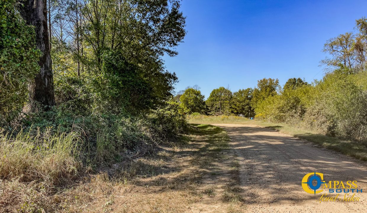 Toney 1 Arkansas Land for Sale-17