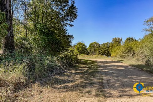 Toney 1 Arkansas Land for Sale-17