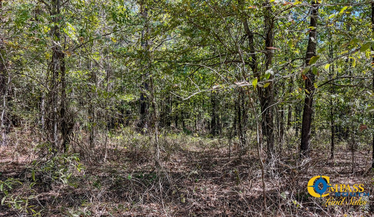 Toney 1 Arkansas Land for Sale-20