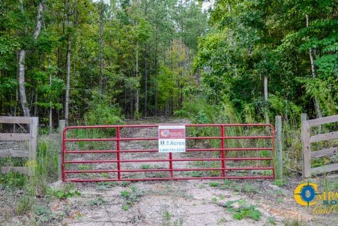 Union Highway Land for Sale in South Carolina-31