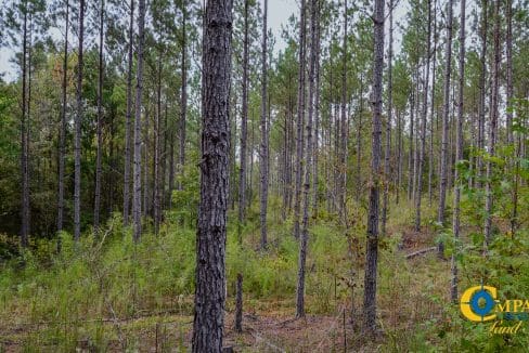 Union Highway Land for Sale in South Carolina-35