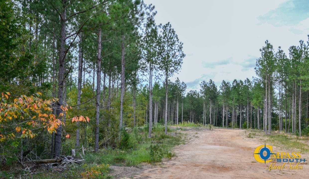 Union Highway Land for Sale in South Carolina-37