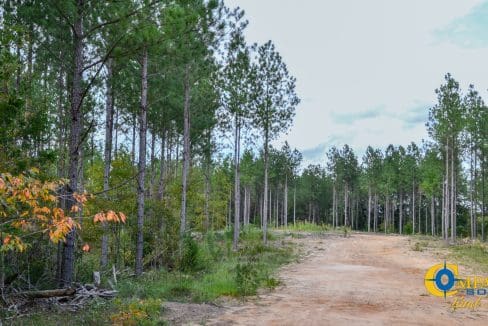 Union Highway Land for Sale in South Carolina-37