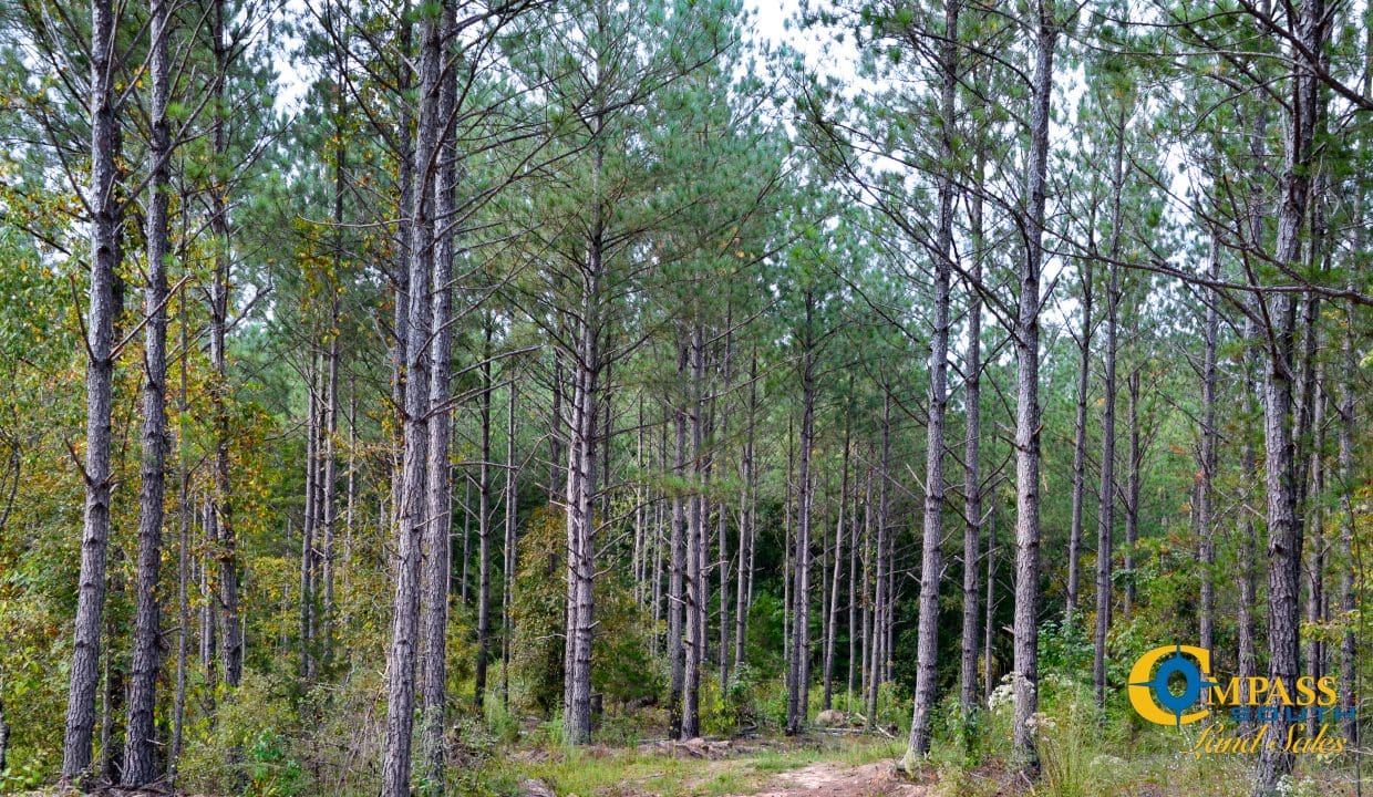 Union Highway Land for Sale in South Carolina-38