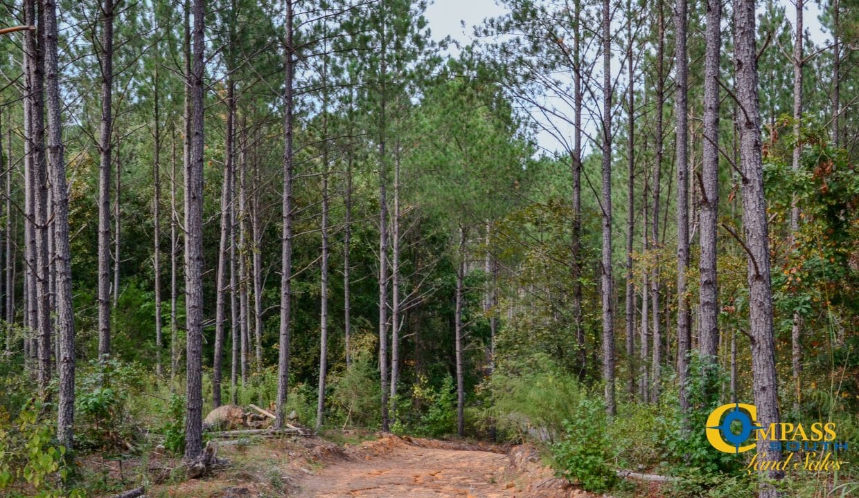 Union Highway Land for Sale in South Carolina-41