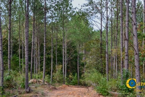 Union Highway Land for Sale in South Carolina-41