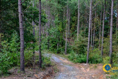 Union Highway Land for Sale in South Carolina-42