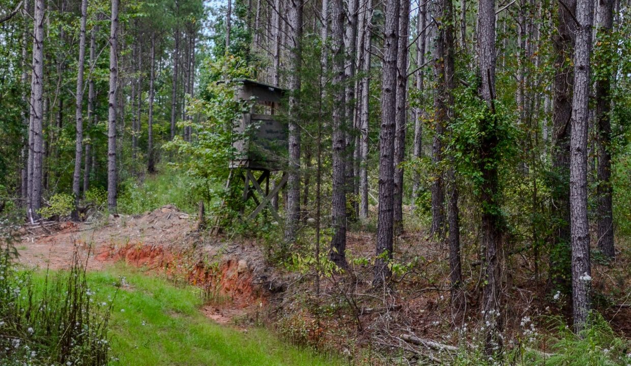 Union Highway Land for Sale in South Carolina-43