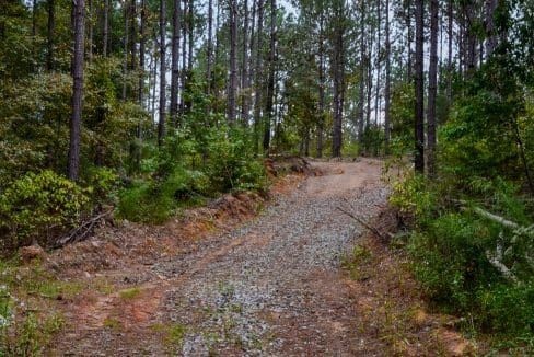 Union Highway Land for Sale in South Carolina-53