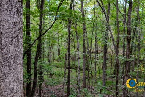 Union Highway Land for Sale in South Carolina-56