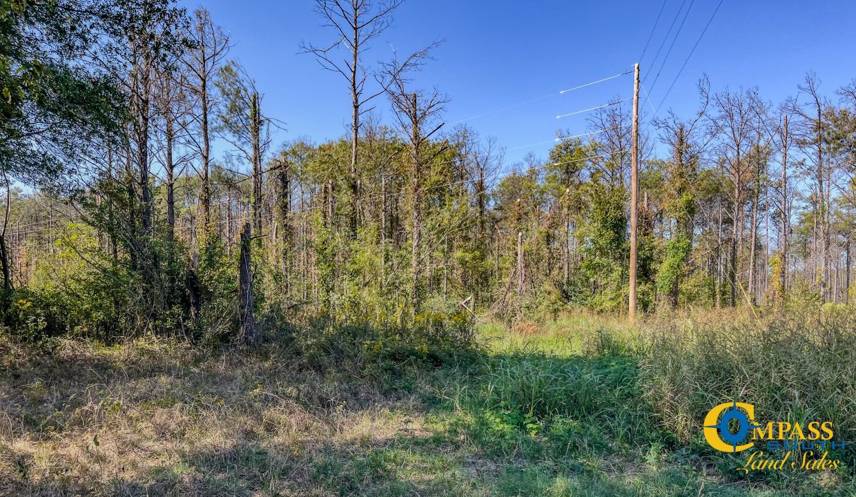 Woodall North Arkansas Land for Sale-24