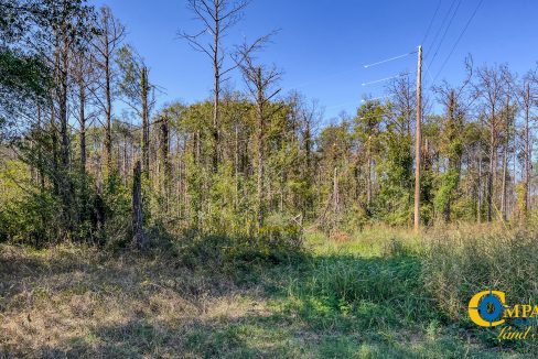 Woodall North Arkansas Land for Sale-24