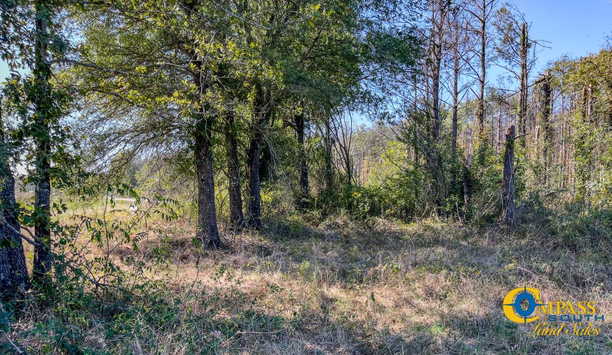 Woodall North Arkansas Land for Sale-25