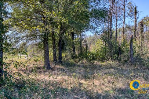 Woodall North Arkansas Land for Sale-25