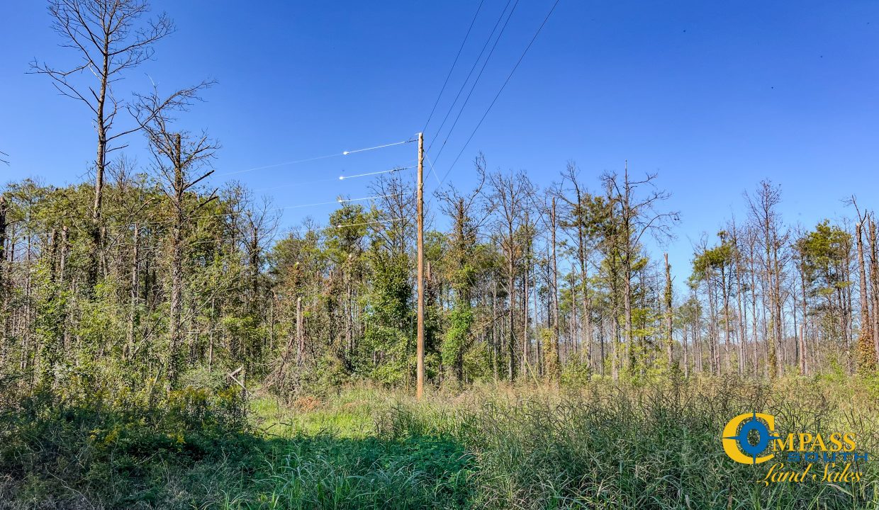 Woodall North Arkansas Land for Sale-26