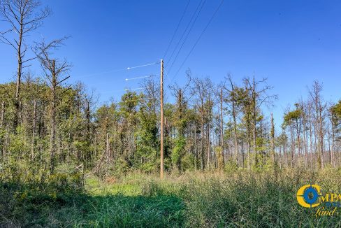 Woodall North Arkansas Land for Sale-26