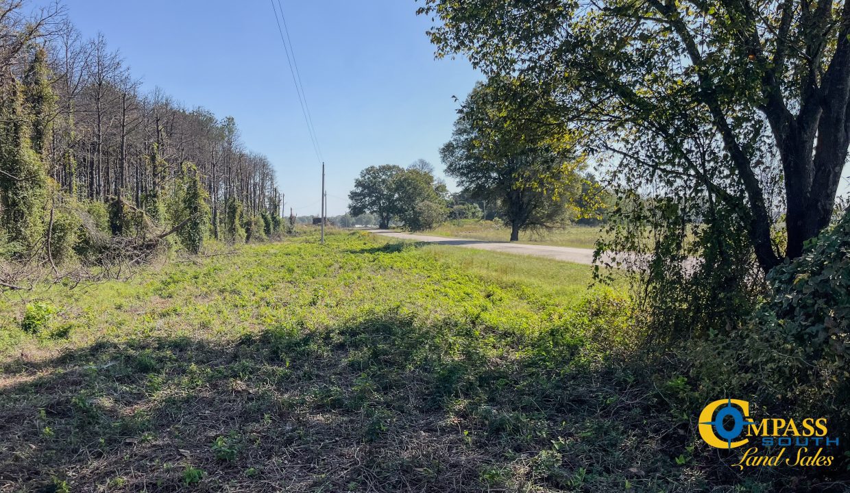 Woodall South Arkansas Land for Sale-19