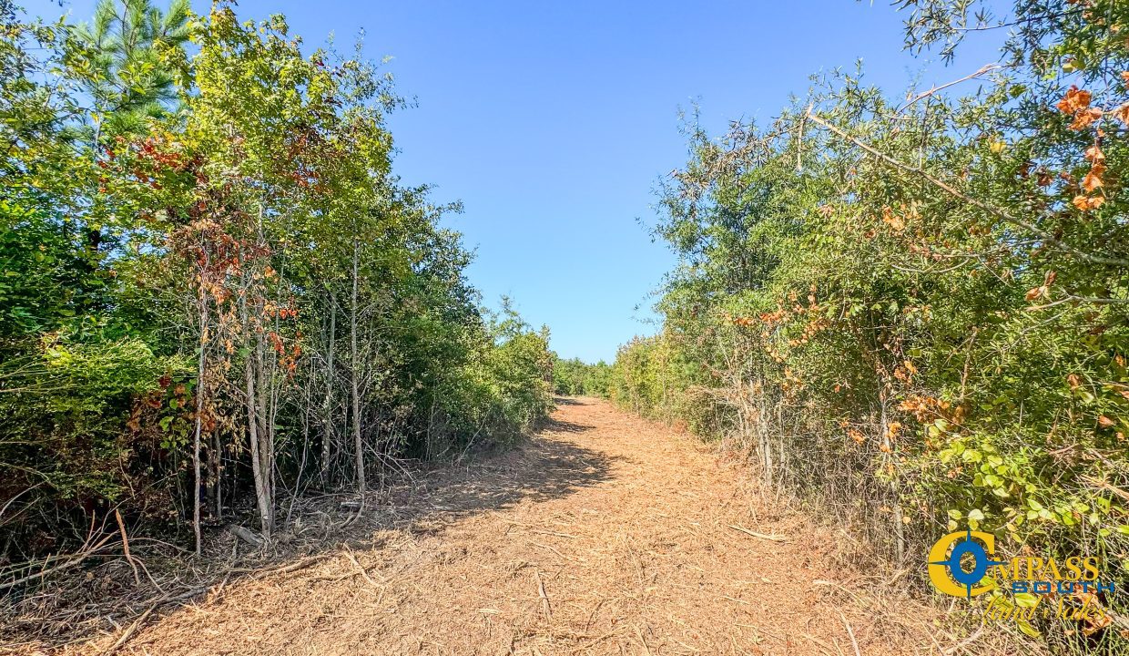 Woodcreek Tract 3 South Carolina-1