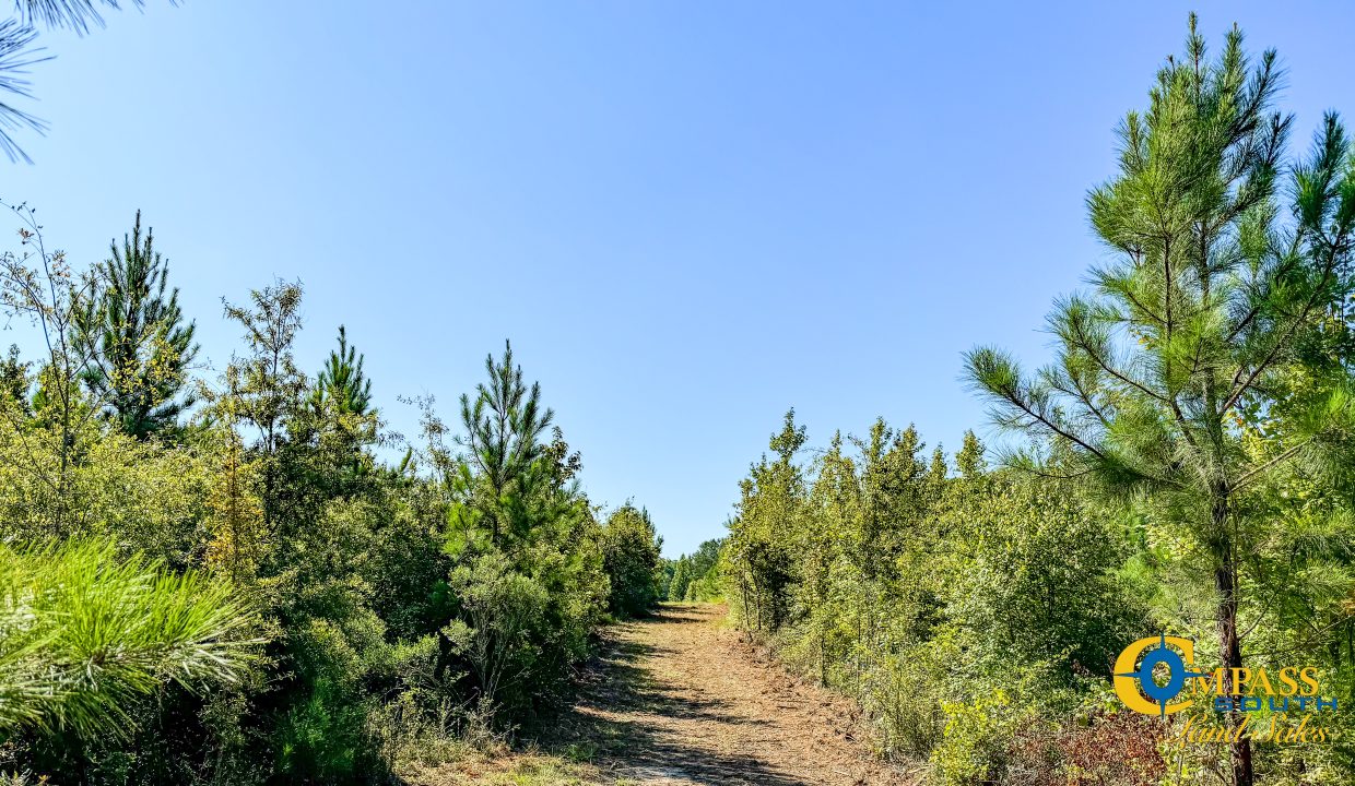 Woodcreek Tract 3 South Carolina-3