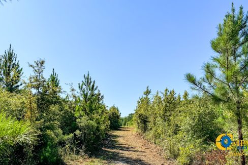 Woodcreek Tract 3 South Carolina-3