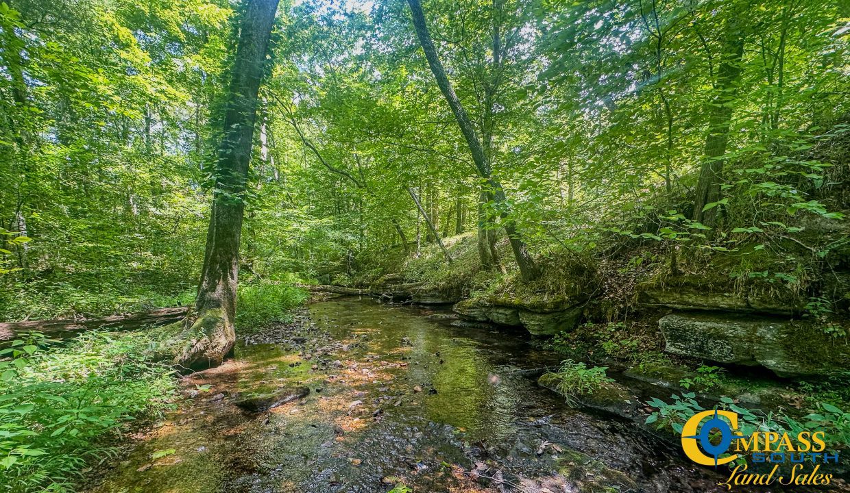 Cave Branch Tennessee Land for Sale-01