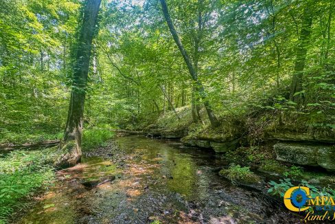 Cave Branch Tennessee Land for Sale-01