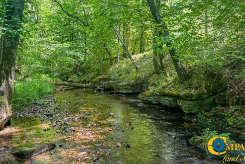 Cave Branch Tennessee Land for Sale-02