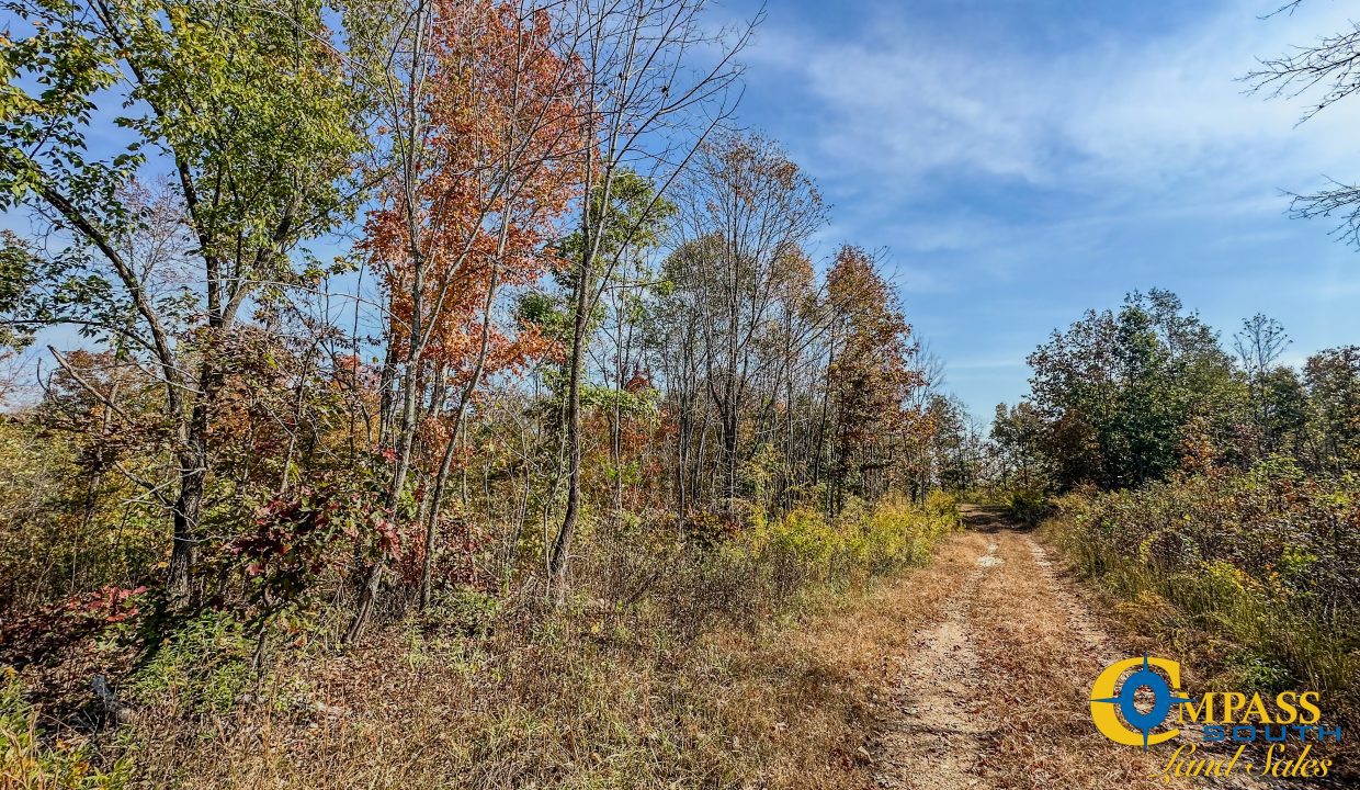 Cave Branch Tennessee Land for Sale-04