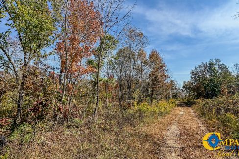 Cave Branch Tennessee Land for Sale-04