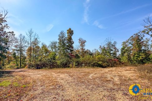 Cave Branch Tennessee Land for Sale-06