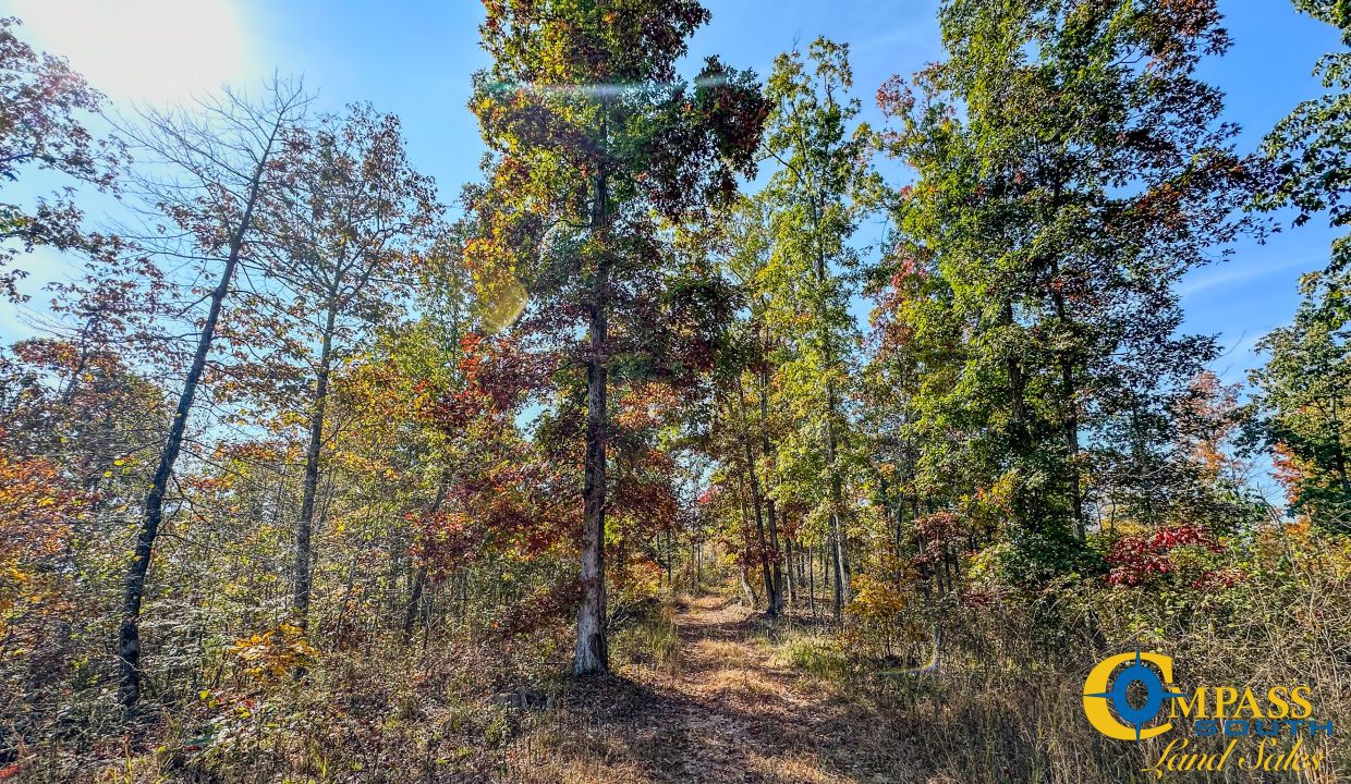 Cave Branch Tennessee Land for Sale-07