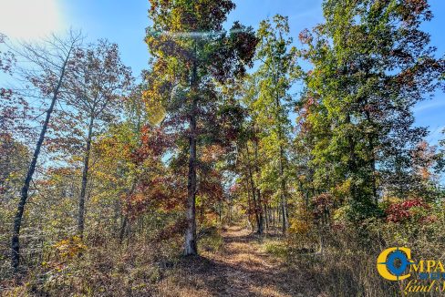 Cave Branch Tennessee Land for Sale-07