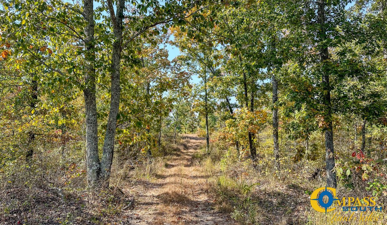 Cave Branch Tennessee Land for Sale-09