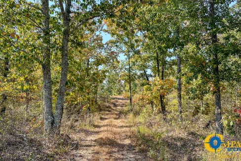 Cave Branch Tennessee Land for Sale-09