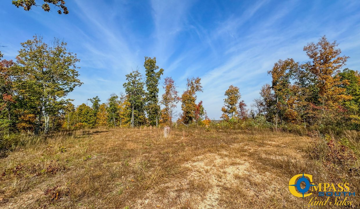 Cave Branch Tennessee Land for Sale-10