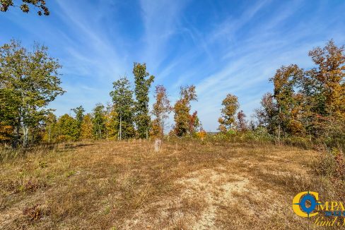 Cave Branch Tennessee Land for Sale-10