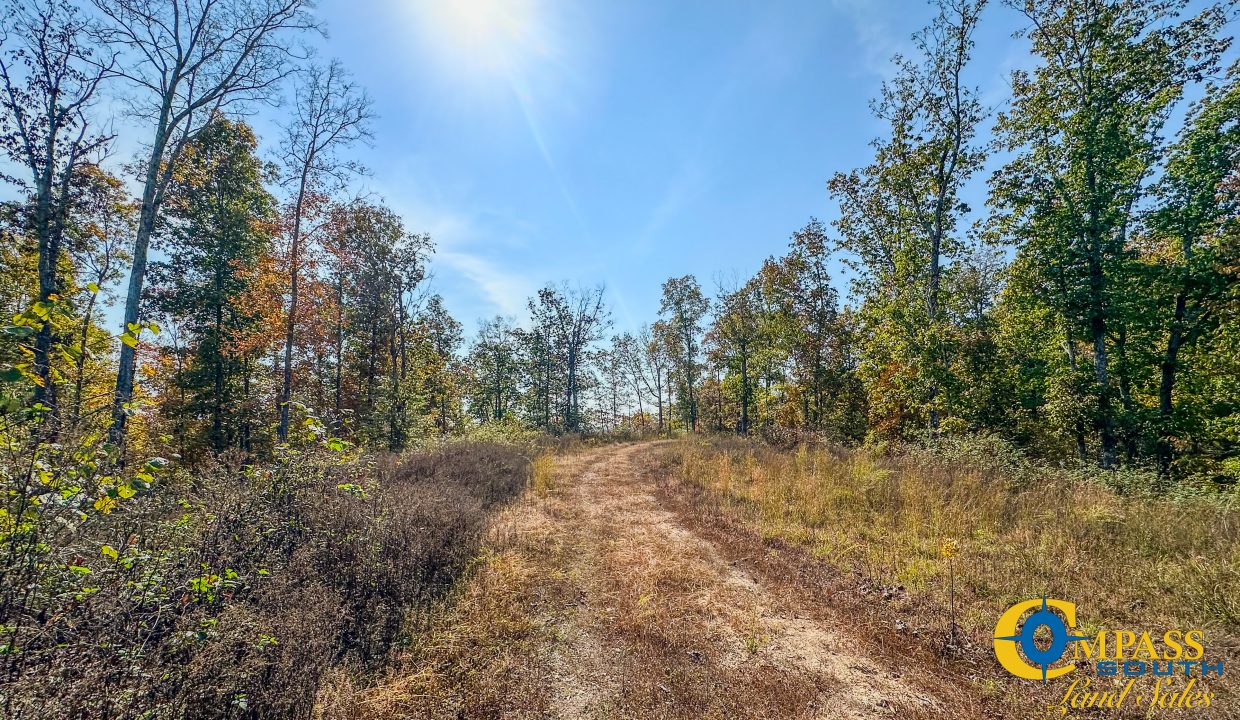 Cave Branch Tennessee Land for Sale-11