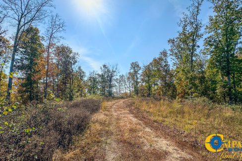 Cave Branch Tennessee Land for Sale-11