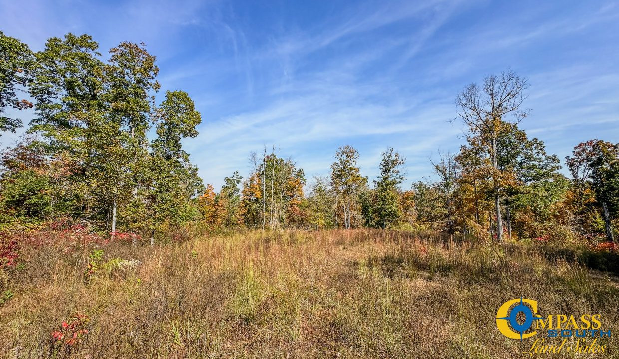 Cave Branch Tennessee Land for Sale-12