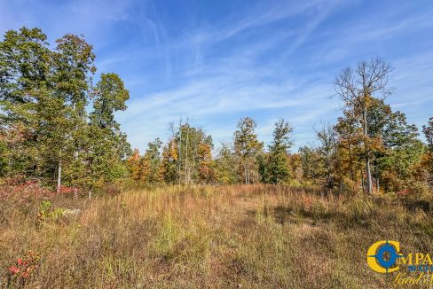 Cave Branch Tennessee Land for Sale-12