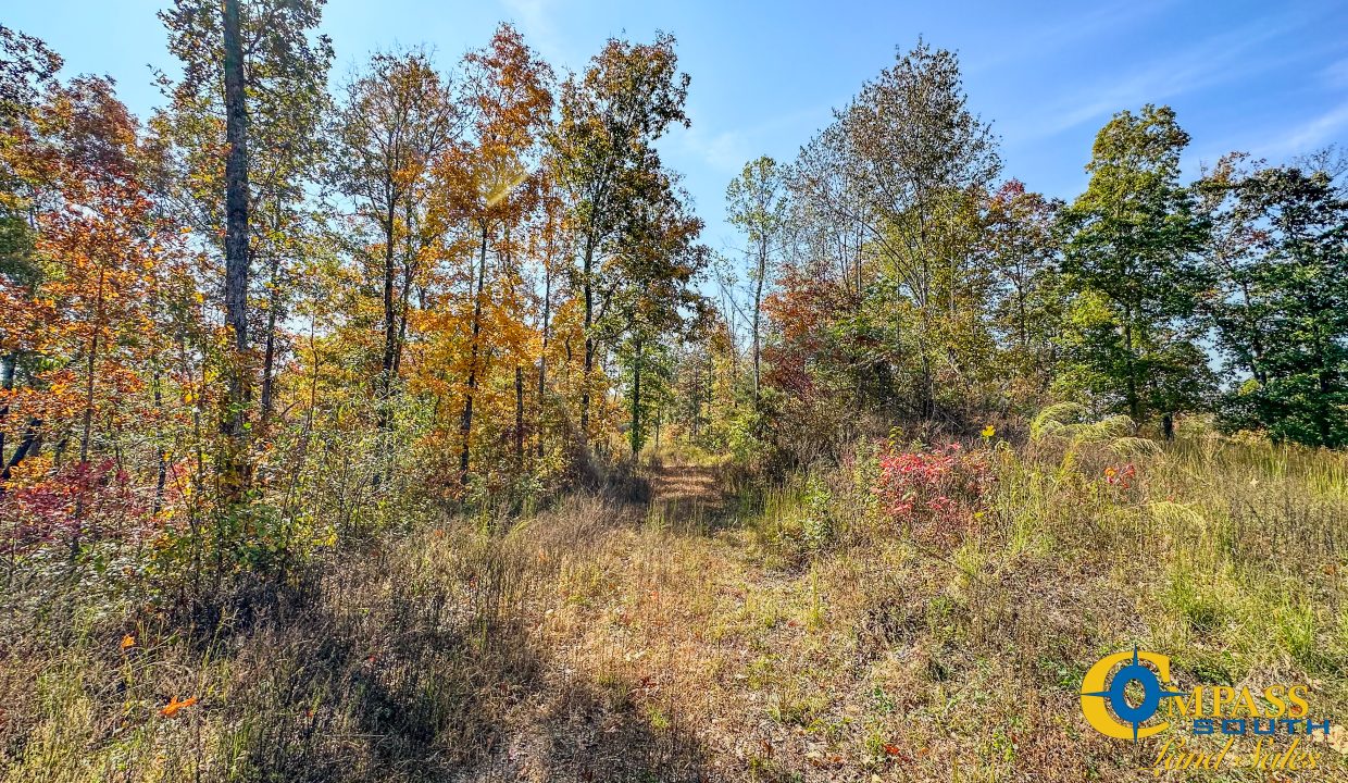 Cave Branch Tennessee Land for Sale-14