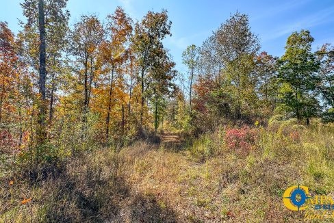 Cave Branch Tennessee Land for Sale-14