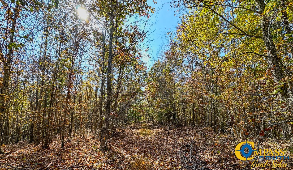 Cave Branch Tennessee Land for Sale-15