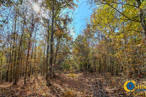 Cave Branch Tennessee Land for Sale-15