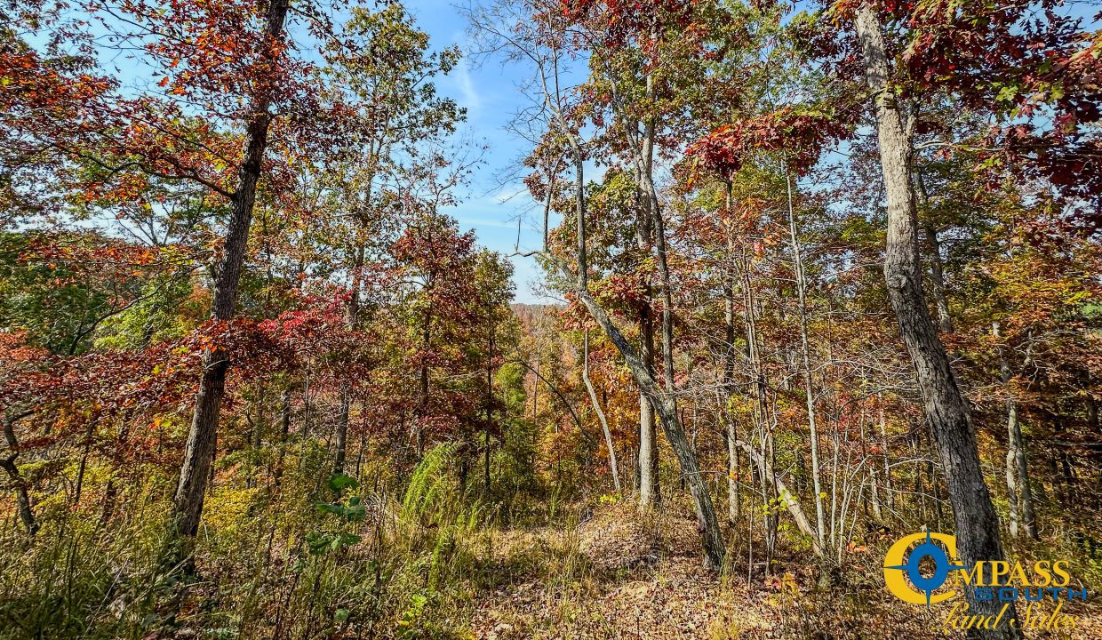 Cave Branch Tennessee Land for Sale-17