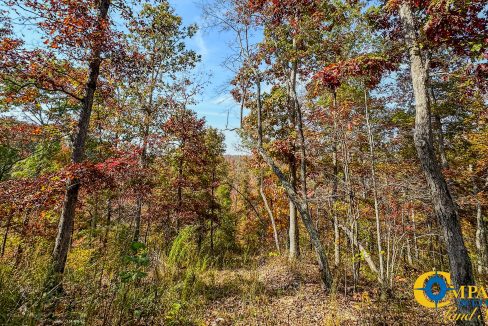 Cave Branch Tennessee Land for Sale-17